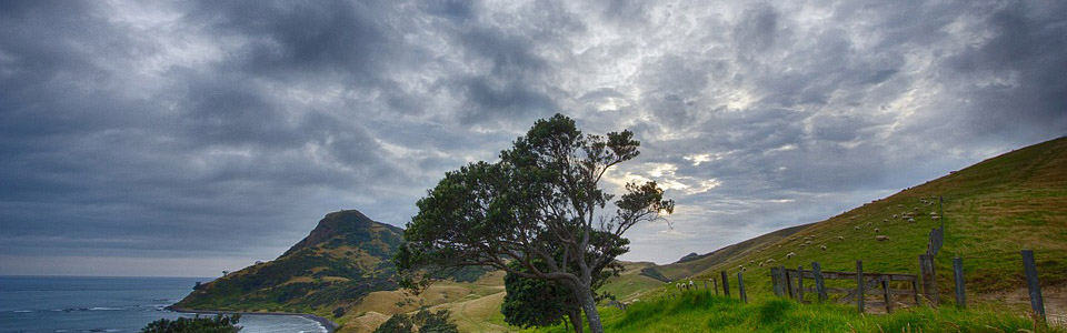 珠海廠家直銷金屬不鏽鋼雕刻機價格