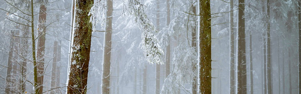 福州專業不鏽鋼激光打標打碼機價錢